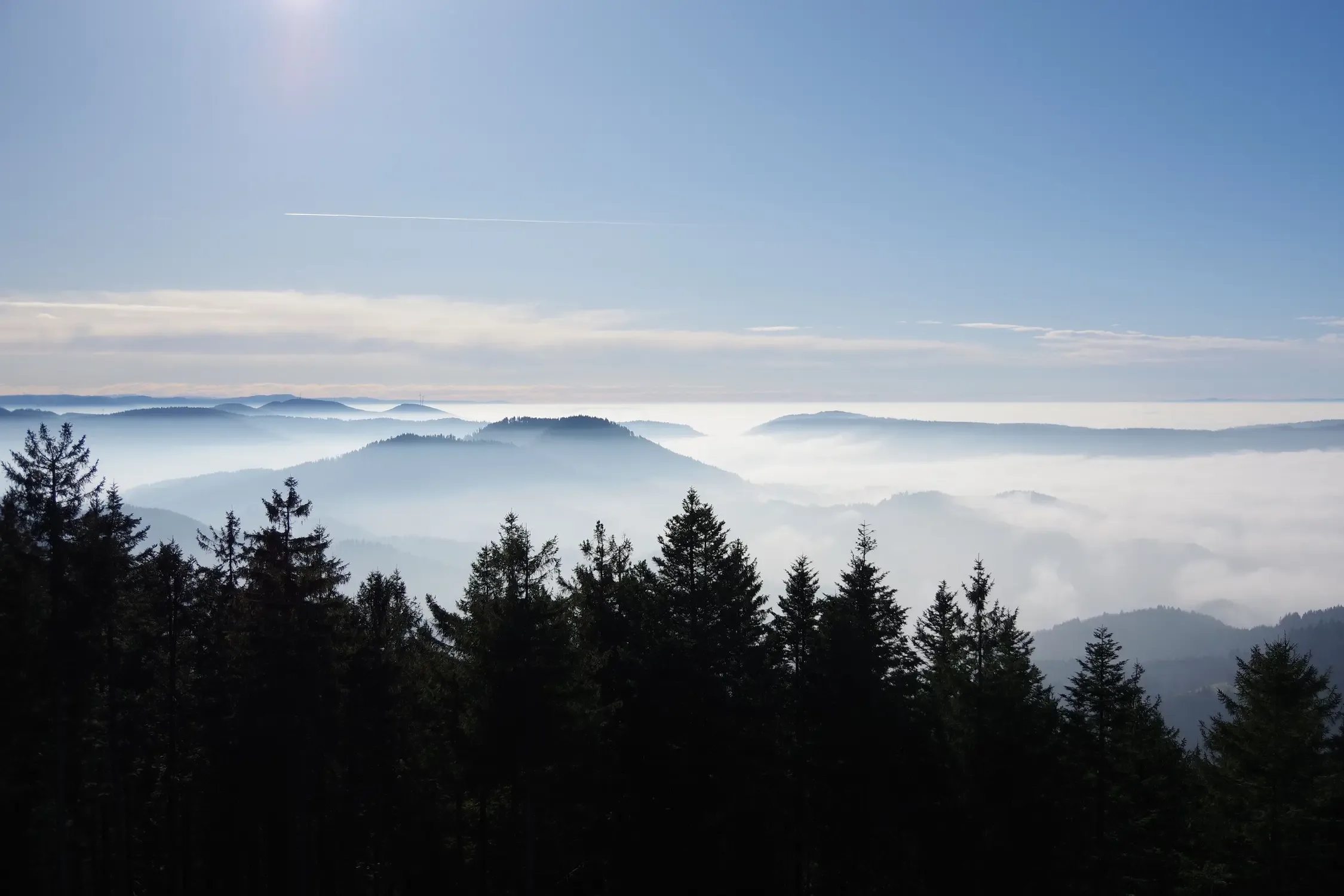 Geschichte des Schwarzwaldes Teil1